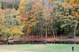 fall quotes with A man loving fall as he stands near a pond amid trees with changing foliage