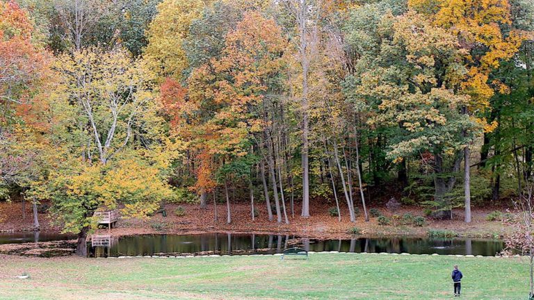 fall quotes with A man loving fall as he stands near a pond amid trees with changing foliage