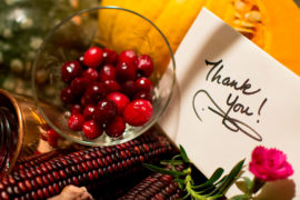 Thanksgiving Greetings: What to Write in a Thanksgiving Card