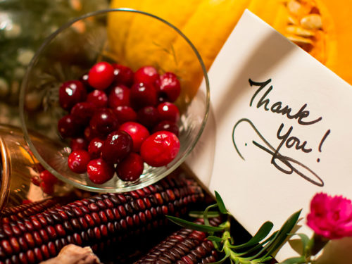 Thanksgiving greetings hero