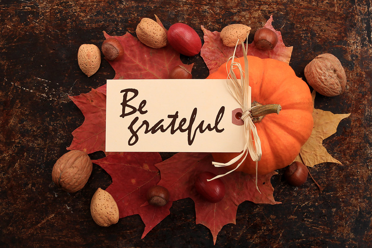 Thanksgiving greetings with be grateful card on pumpkins