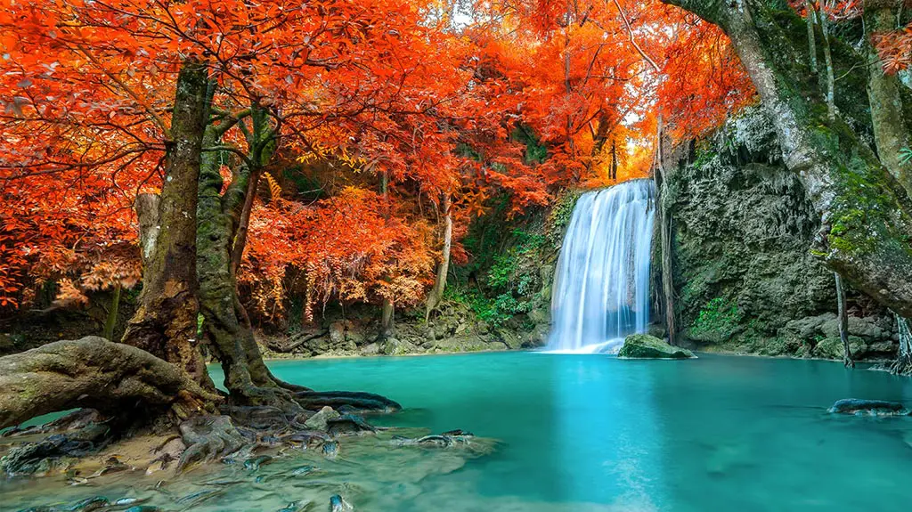 Amazing in nature, beautiful waterfall at colorful autumn forest