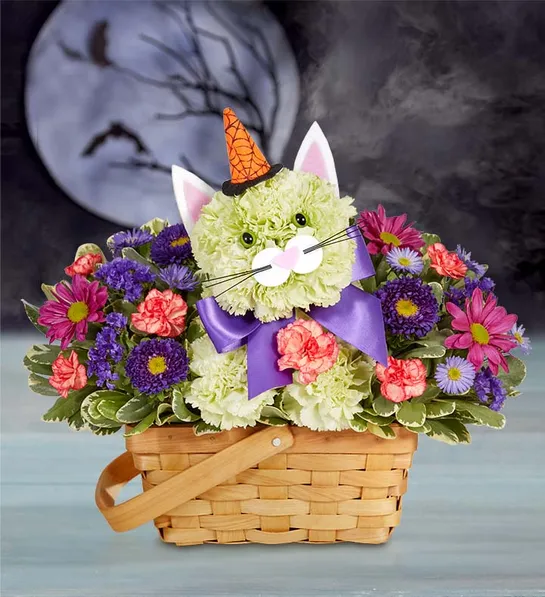 halloween decor ideas with Purrfect Potions Fabulous Feline