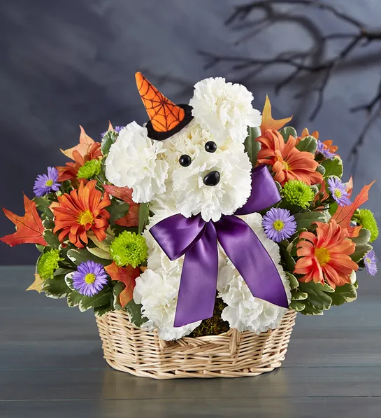halloween decor ideas with witchy pooch