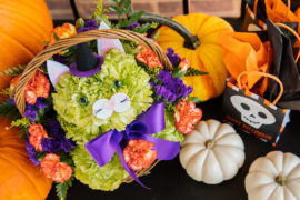 Halloween Decor Ideas & Crafts for the Entire Home