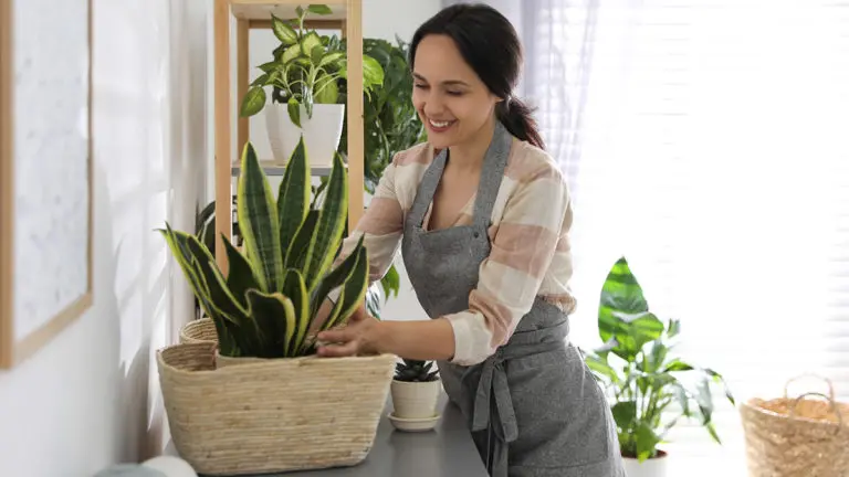 birthday gifts for sagittarius with woman caring for plant