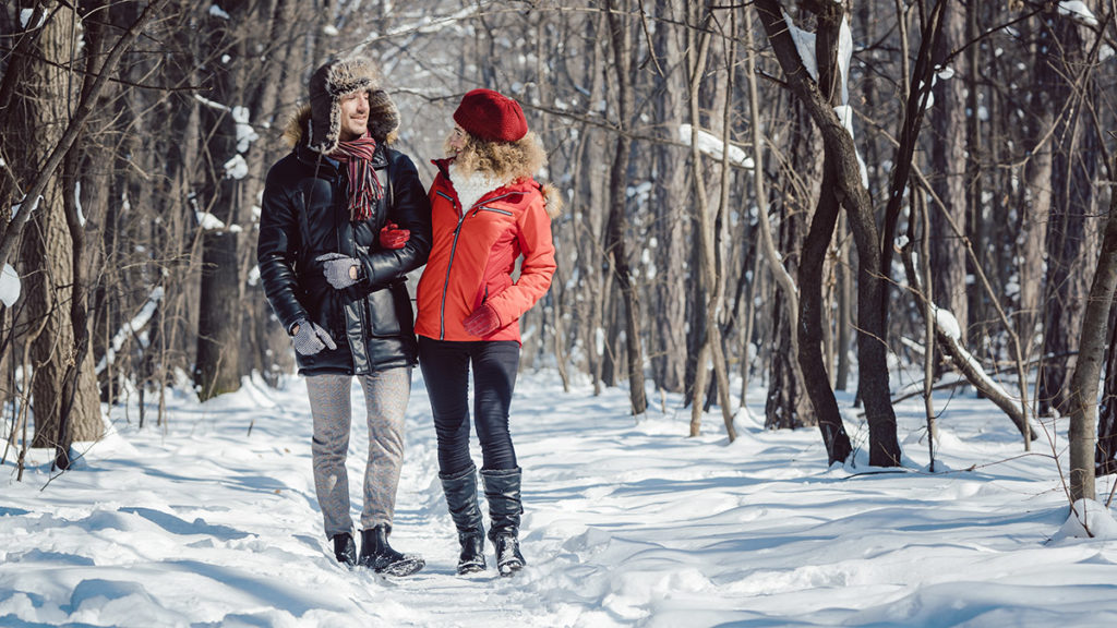 Ideas para citas en climas fríos con una pareja caminando por el bosque
