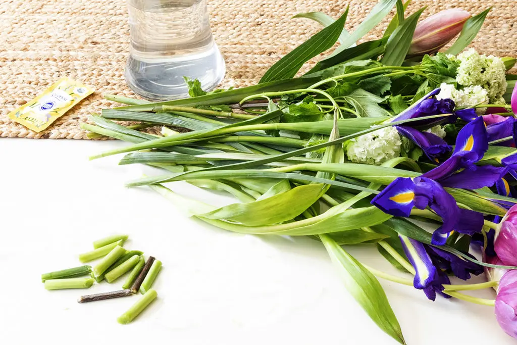 flower bouquet with cutting flower stems