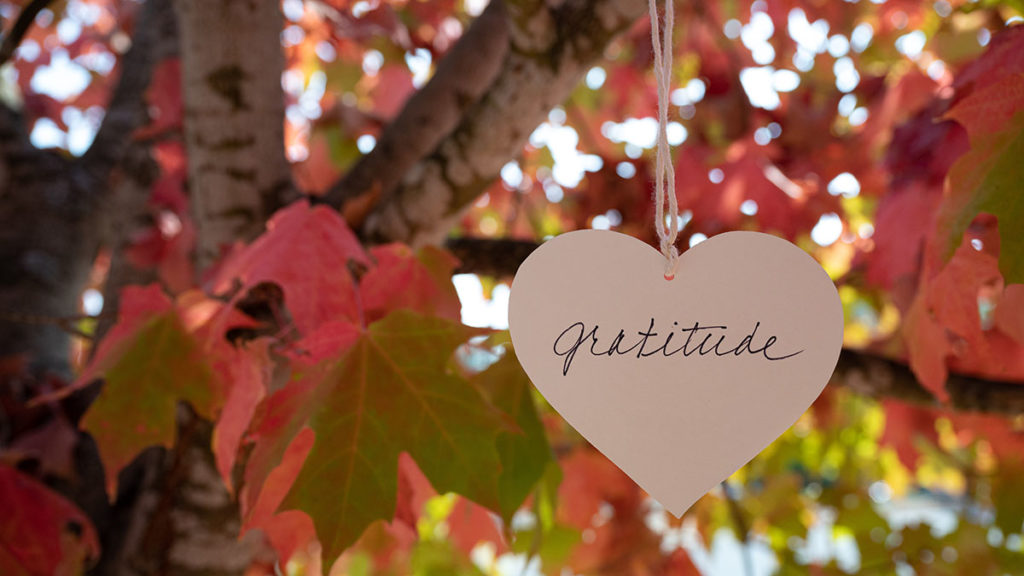 thanksgiving quotes with gratitude sign hanging from tree