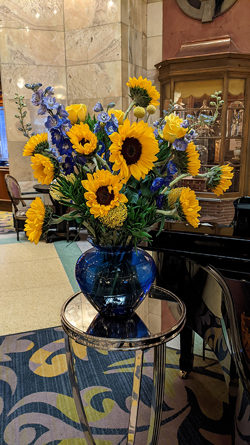 ukraine flowers sunflowers floriology
