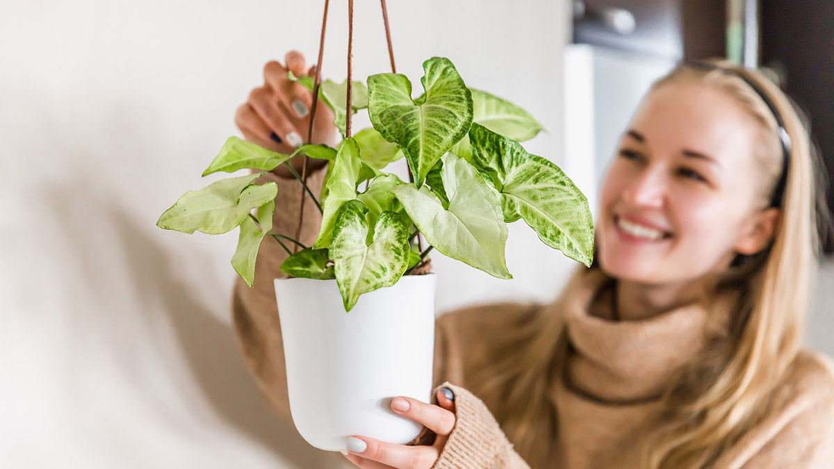 regalos de cumpleaños para capricornio con mujer cuidando planta colgante