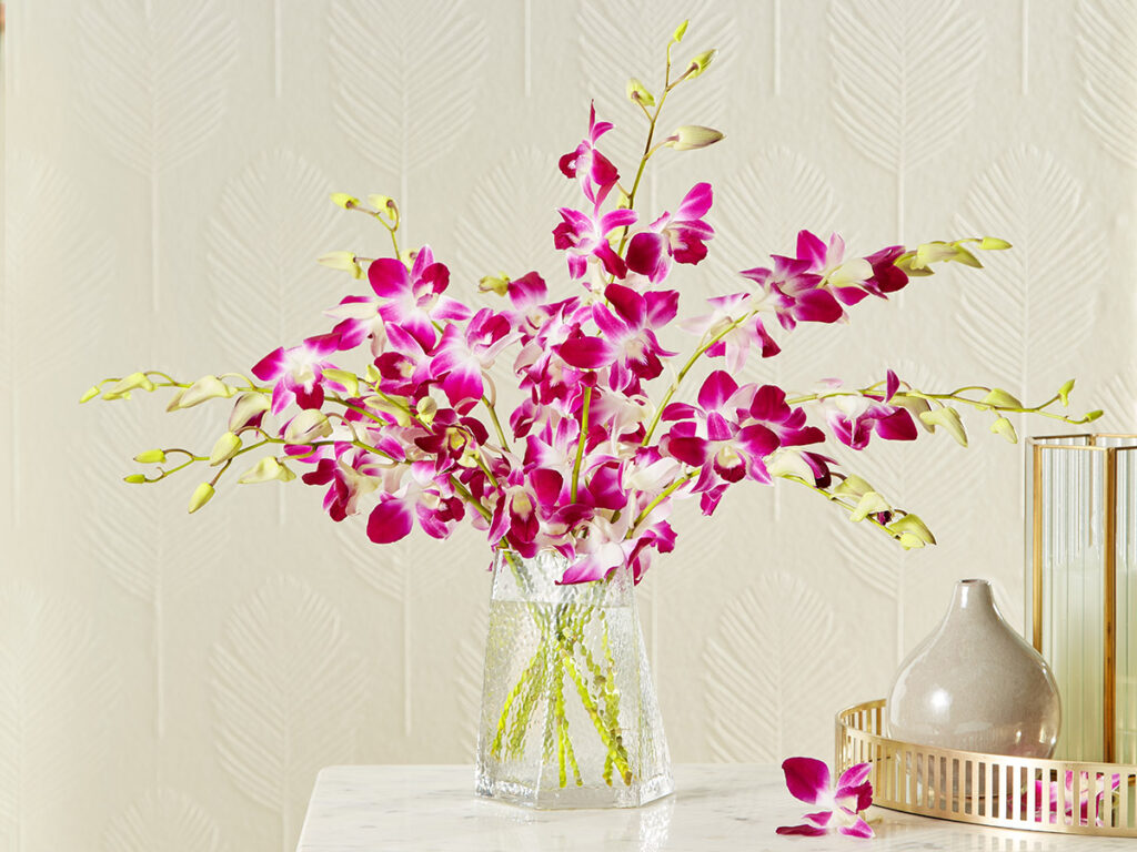 orchid bloom with cut orchids in a vase