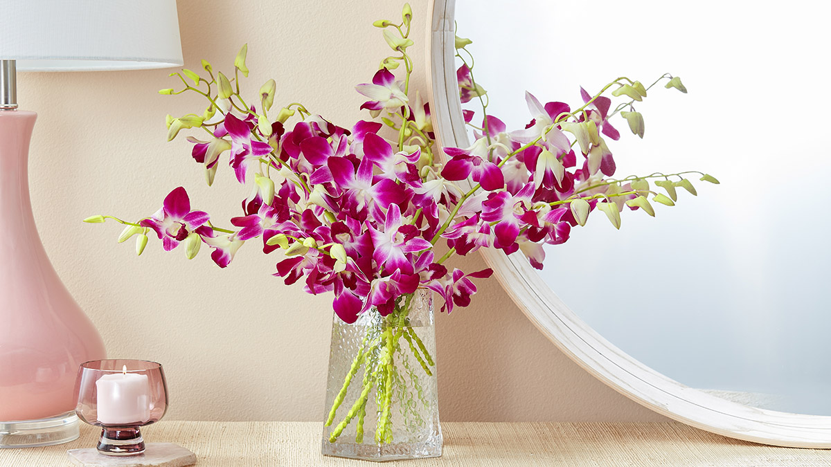 Mother's Day flower types with orchids