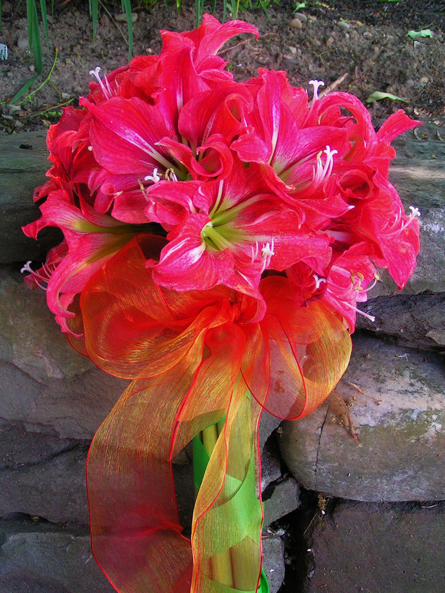 Flores de boda de invierno con ramo de amarilis.