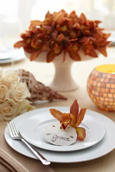 Orchid Sand dollar Place Setting