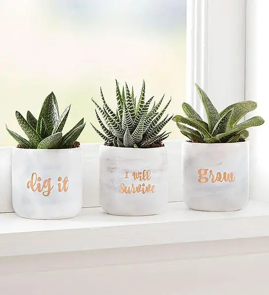 birthday gifts for her with Plant of the Month Club