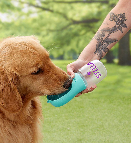 gifts for dog lovers with Portable Personalized Dog Water Bottle