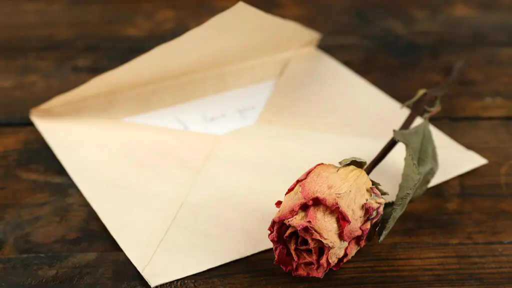 How to write a love letter with an open letter next to a dried rose.