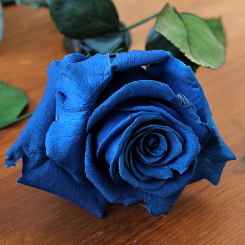 Significado del color rosa con rosas azules.