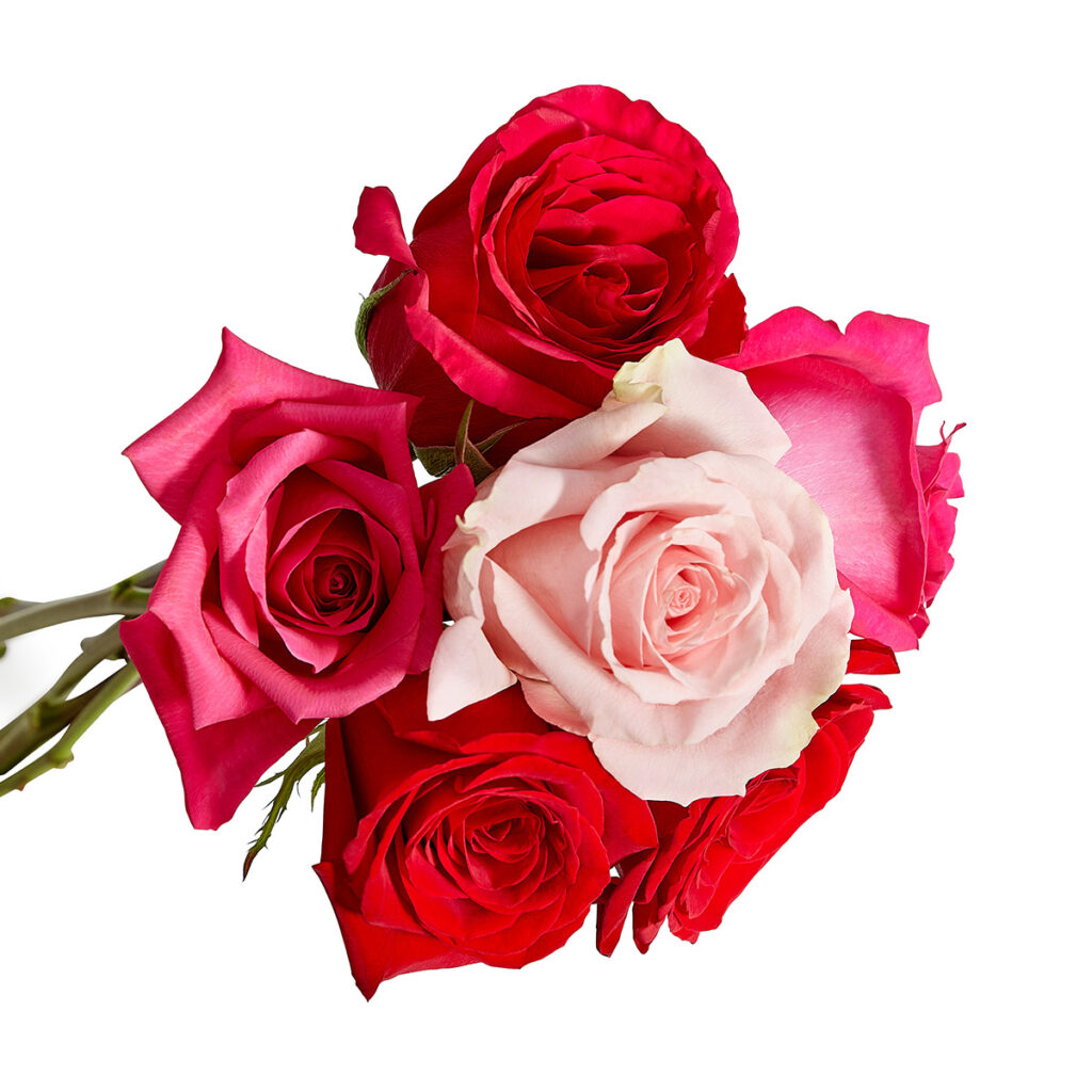 símbolos del día de san valentín con rosas