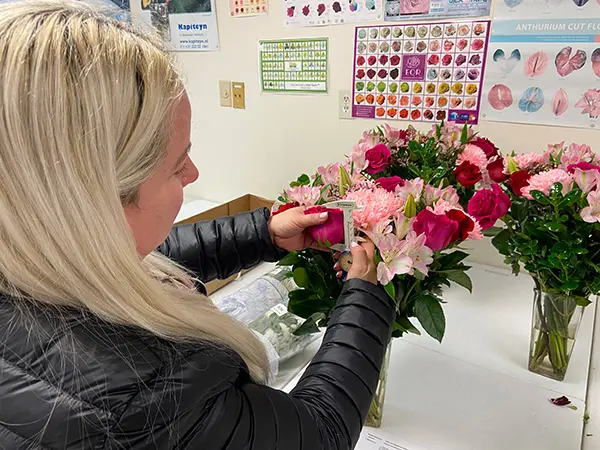 A flower expert measures the head of a rose, part of 1-800-Flowers.com's extensive QA procedures.