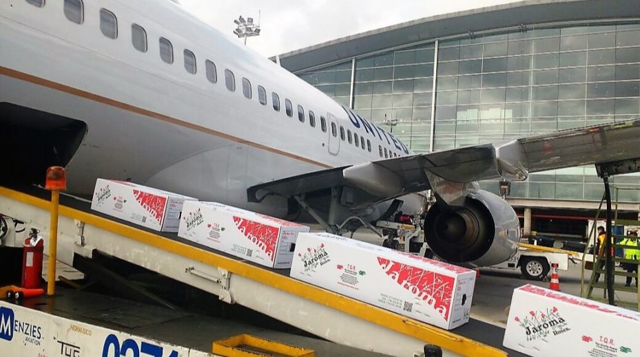 Photo of flower experts loading boxes on a jet for transport from Bogota to Miami