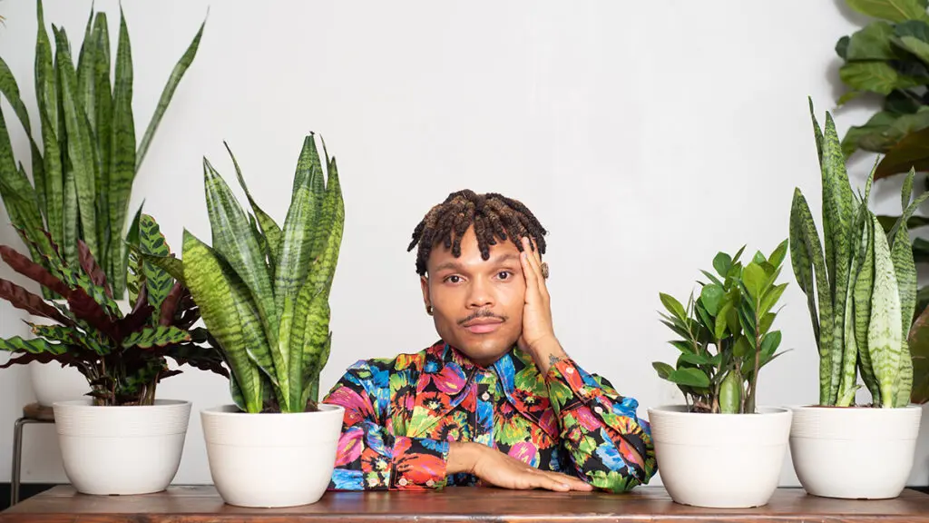 plant kween with surrounded by plants on table