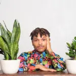 plant kween with surrounded by plants on table