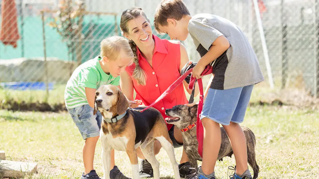 random acts of kindness day with child taking care of a dog