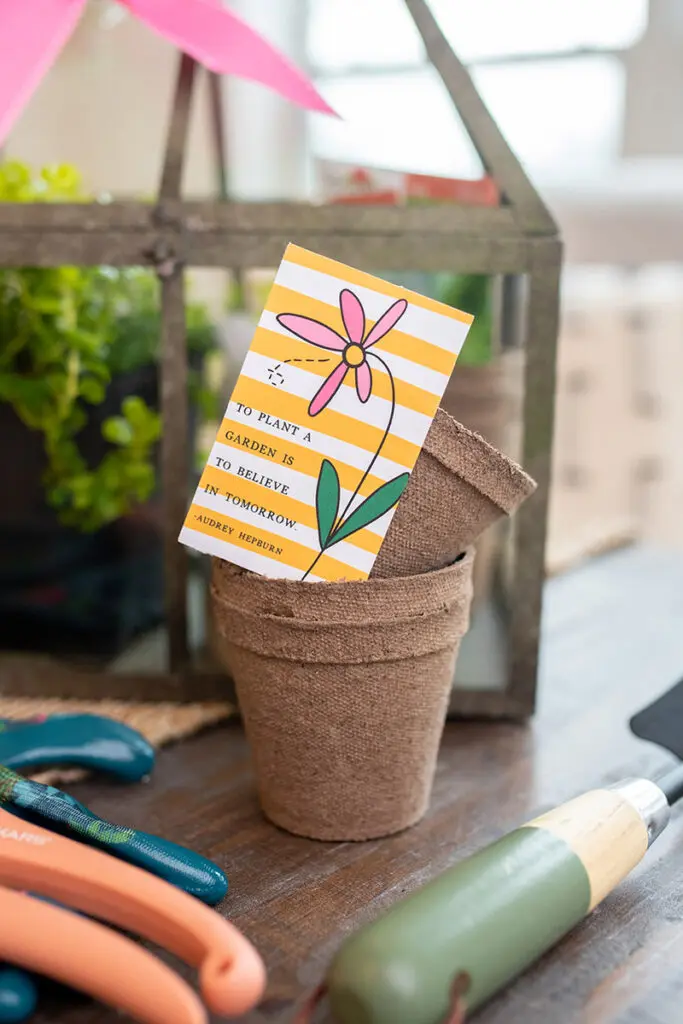 spring birthdays with seed kits