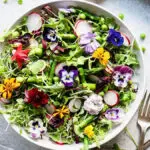 spring salad hero