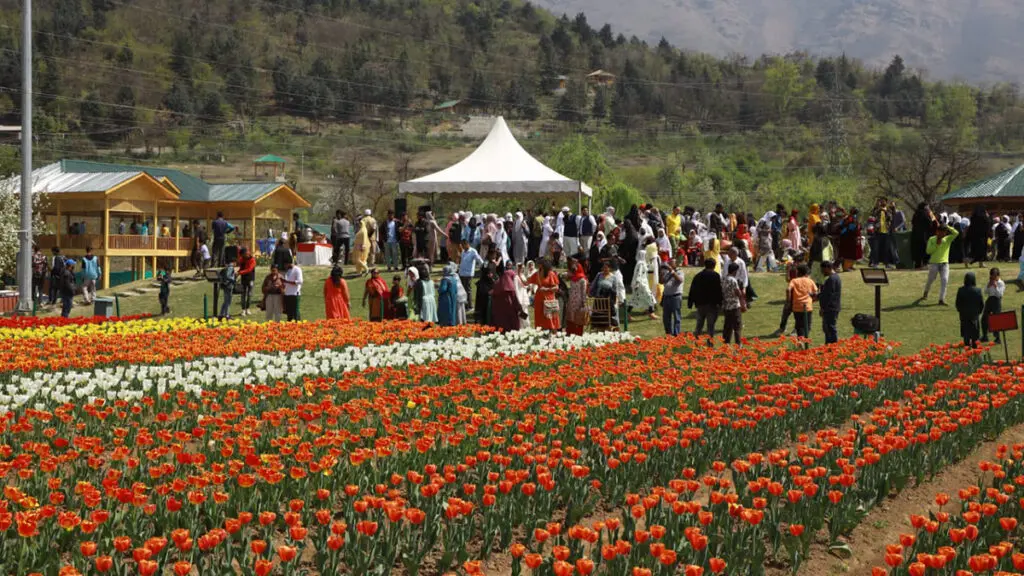 tulip festivals with Srinagar Tulip Festival