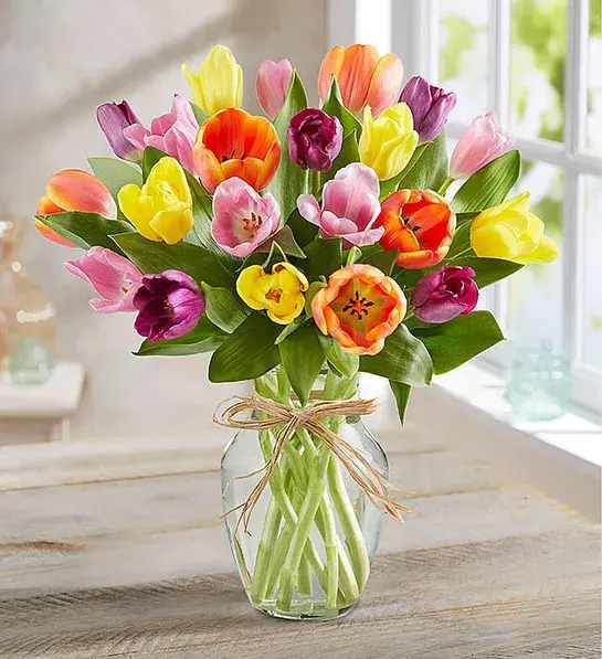 Viaje de los tulipanes con Timeless Tulips