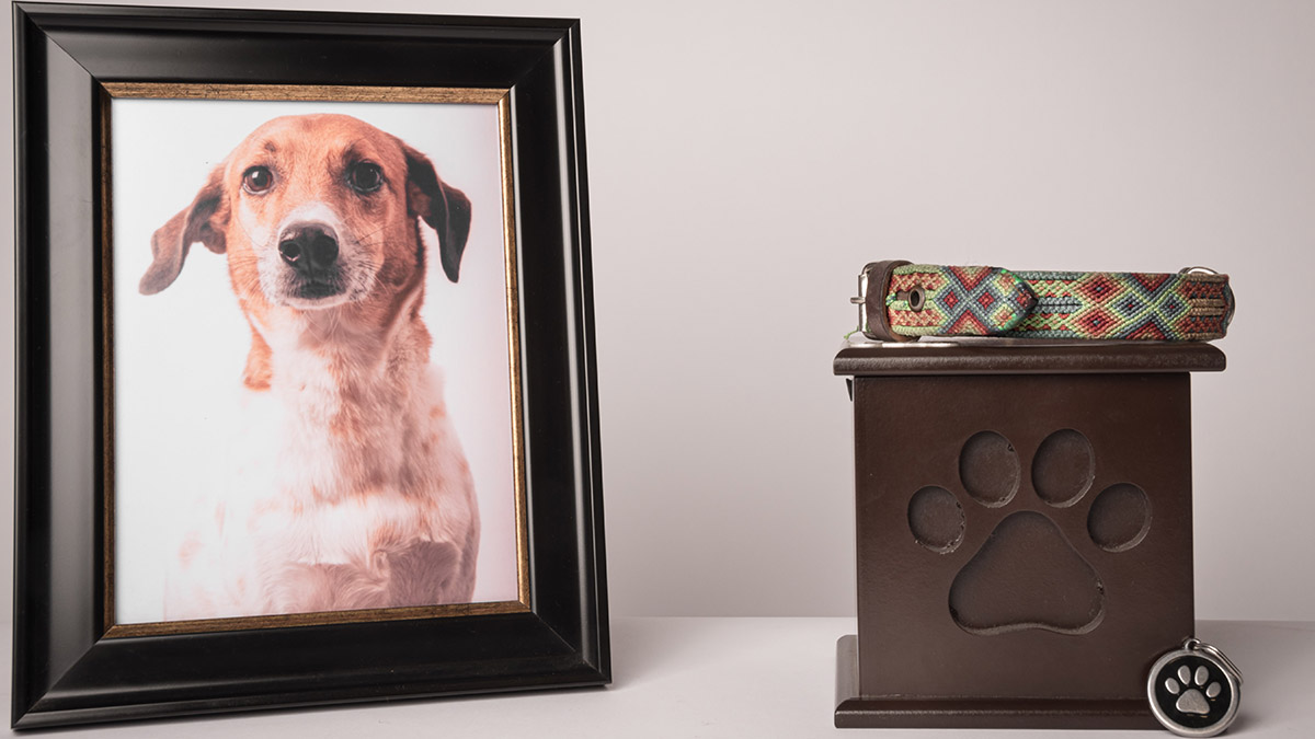 loss of a pet with photo of dog and urn