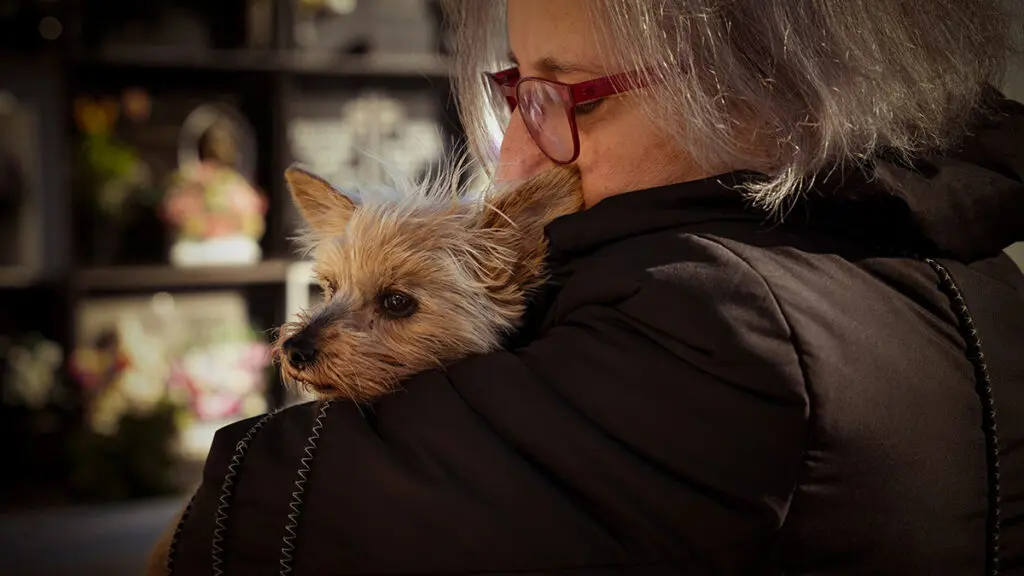 Pérdida de una mascota con una mujer que sostiene un perro pequeño