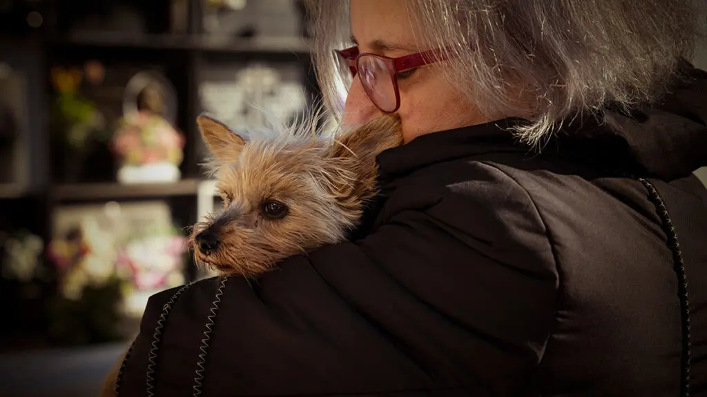 loss of a pet with woman holding small dog