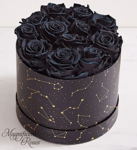 zodiac compatibility with night sky magnificent black roses