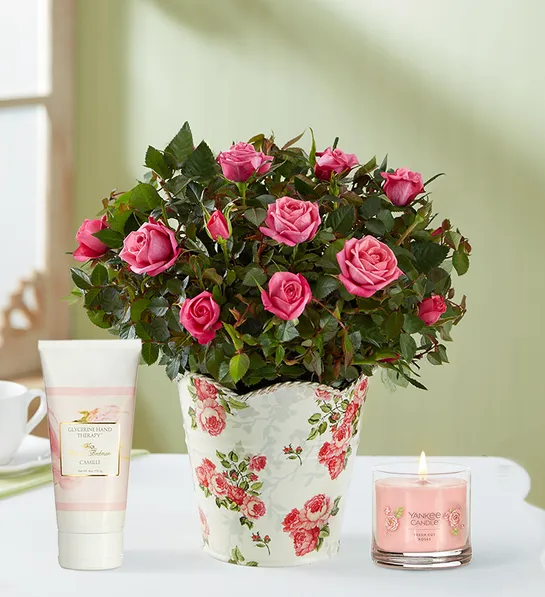 gifts for non-traditional moms with classic budding rose