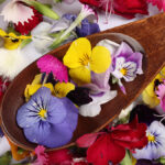 Beautiful colourful yellow violet wite red edible flowers wooden