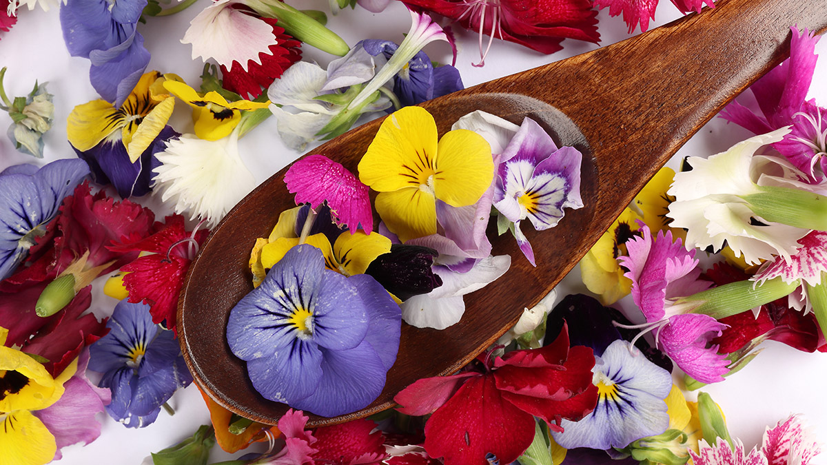 How to Use Edible Flowers For the Most Instagram-Worthy Plates