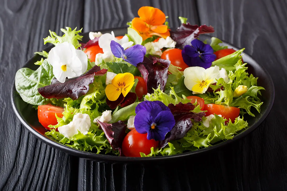 Beautiful healthy salad with edible flowers with fresh lettuce,