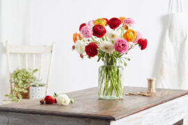 What’s Up, Buttercup: A Complete Guide to Ranunculus