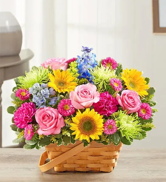 birthday gifts for leo Sunny Garden Basket