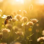 Pollination Nation: Encouraging Bee friendly Practices for a Gre