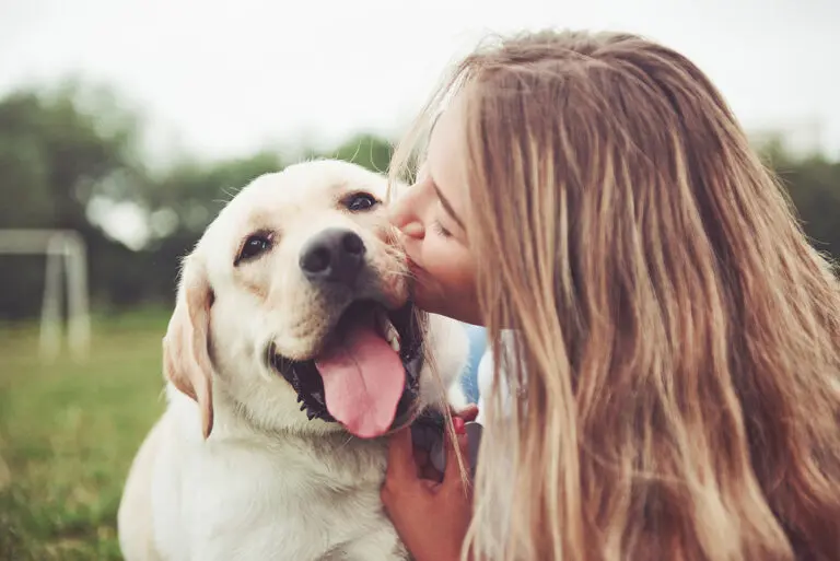 Frame with a beautiful girl with a beautiful dog in a park on green grass.