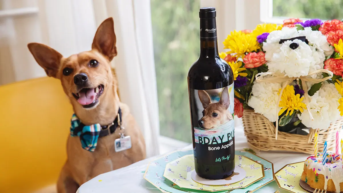 dog birthday party with wine