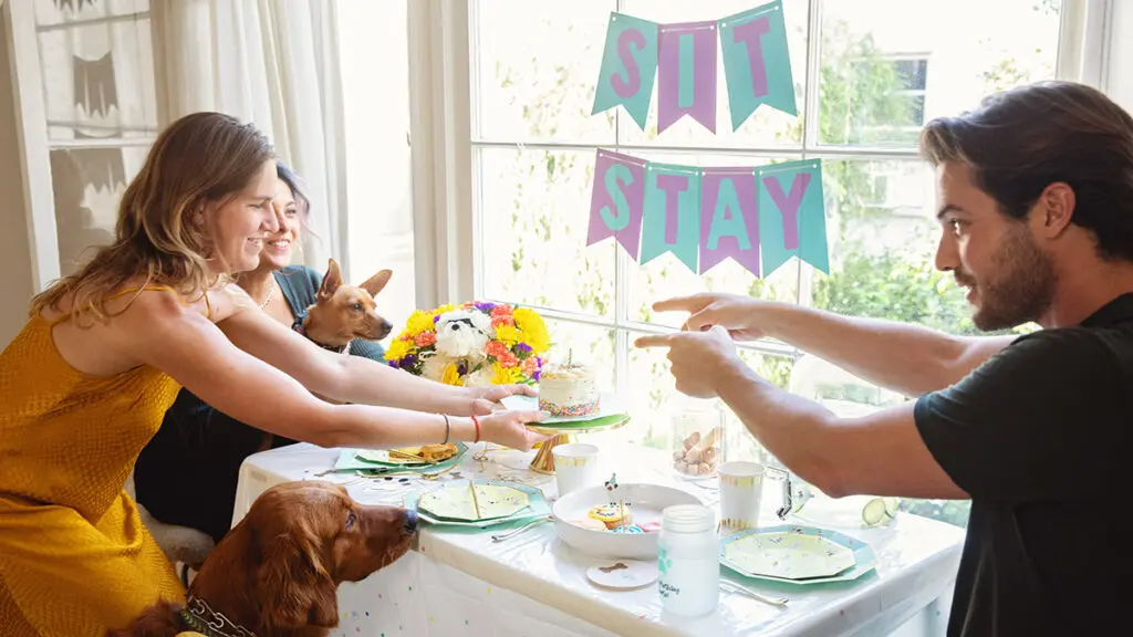 dog birthday party with people having fun