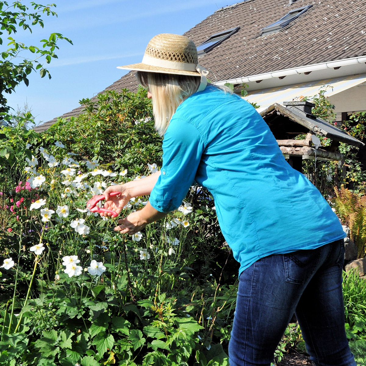 Blumenpflege im Garten