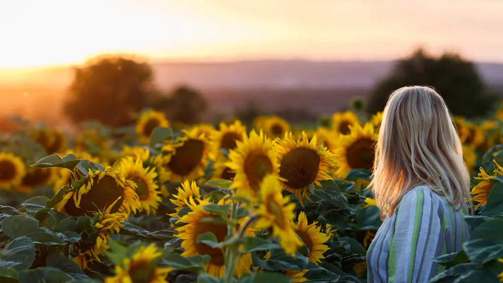 43 Sunflower Quotes to Inspire You