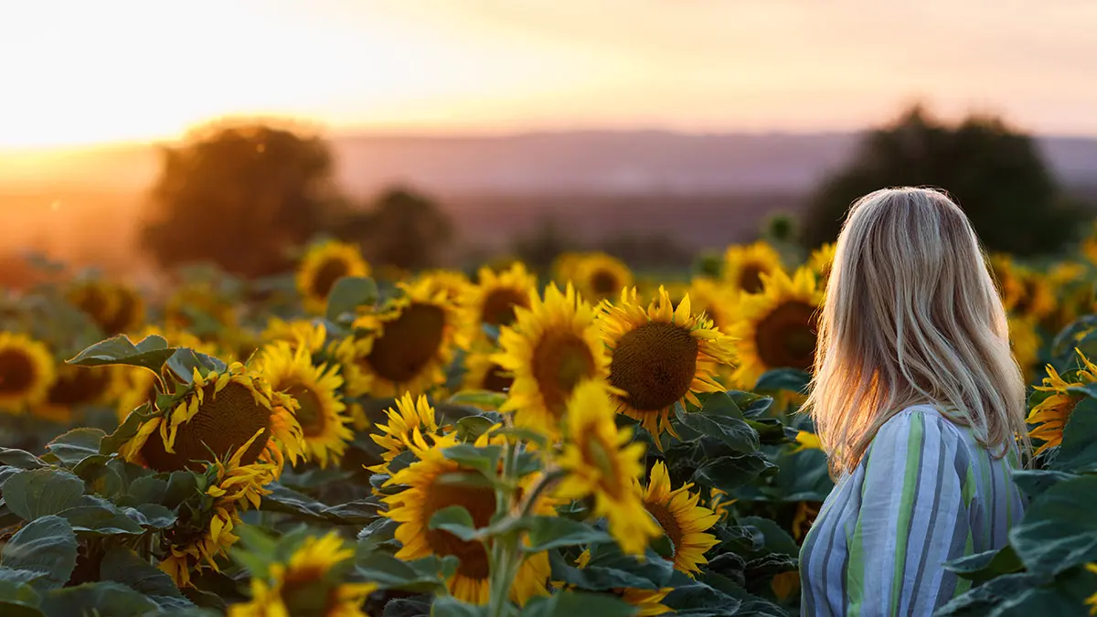 Sunflower Gift Set Positive Gifts for Her T Shirt and Mug 